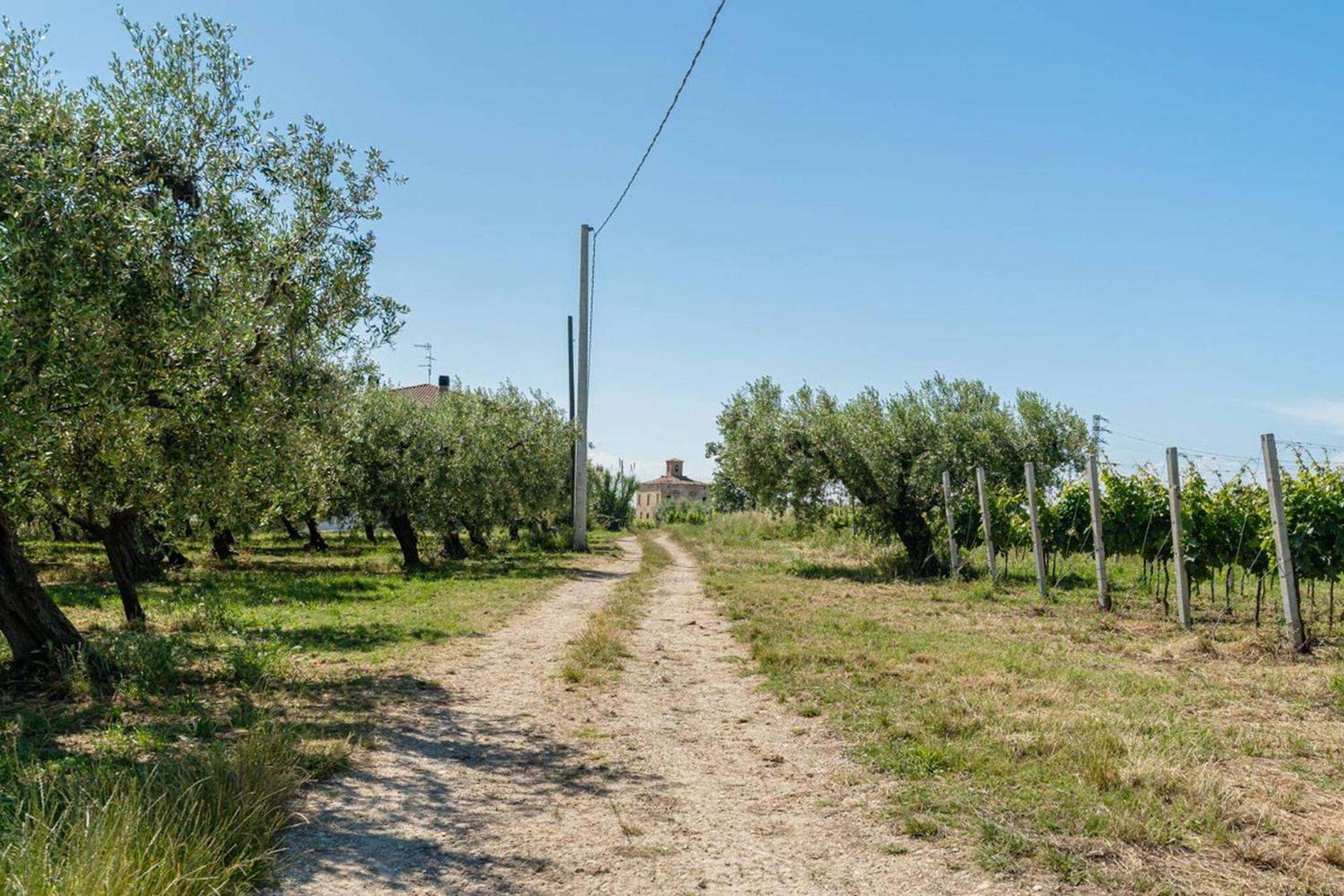 Villa Turin - Yourplace Abruzzo Torino di Sangro Eksteriør billede